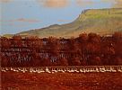 VISITORS UNDER BENEVENAGH. by David Overend at Ross's Online Art Auctions