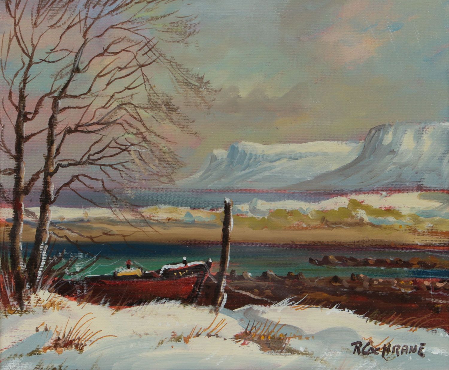 WINTER WILLOW, RED BAY COUNTY ANTRIM by Ray Cochrane at Ross's Online Art Auctions