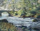 RIVER , TOLLYMORE FOREST by Alan Bradshaw at Ross's Online Art Auctions