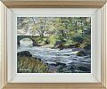 RIVER , TOLLYMORE FOREST by Alan Bradshaw at Ross's Online Art Auctions