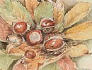 CHESTNUTS by Betty Jackson at Ross's Online Art Auctions