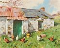 CHICKENS FEEDING by Donal McNaughton at Ross's Online Art Auctions