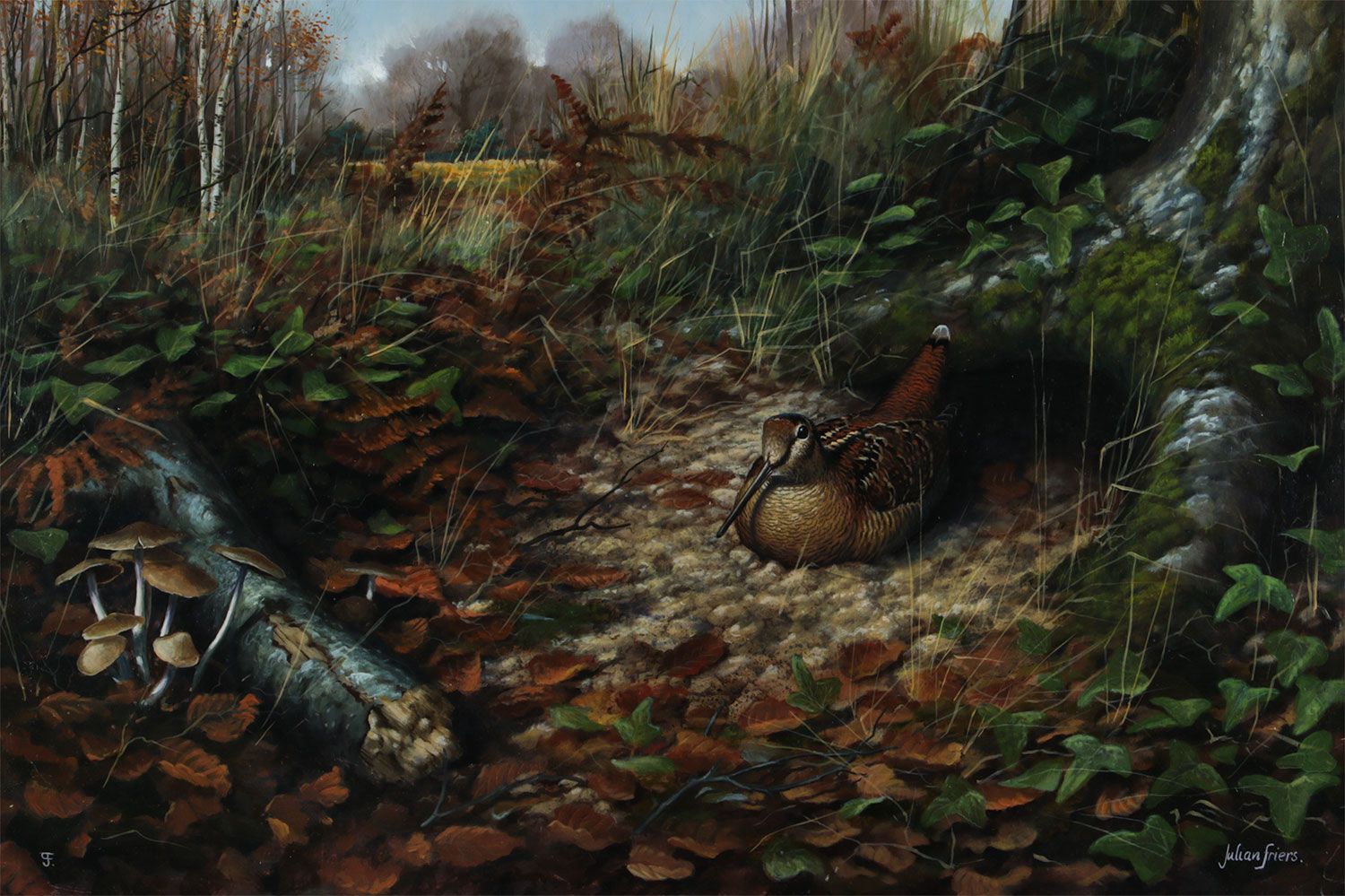 WOODCOCK IN A COUNTY DOWN LANDSCAPE by Julian Friers RUA at Ross's Online Art Auctions