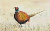 PHEASANT by Lawrence Chambers at Ross's Online Art Auctions