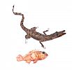 TAXIDERMY CROCODILE & FISH at Ross's Online Art Auctions