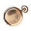 GOLD PLATED FULL HUNTER POCKET WATCH at Ross's Online Art Auctions