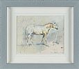COLOURED CONNEMARA PONY by Con Campbell at Ross's Online Art Auctions