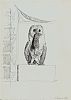BARN OWL by Raymond Piper RUA at Ross's Online Art Auctions