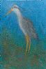 GREY HERON by Stephen Edgar at Ross's Online Art Auctions