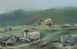 SHEEP ON THE GLENS by Gregory Moore at Ross's Online Art Auctions