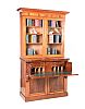 WILLIAM IV TWO DOOR SECRETAIRE BOOKCASE at Ross's Online Art Auctions
