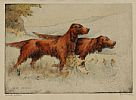 IRISH SETTERS by James McArdle at Ross's Online Art Auctions