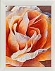 ROSE II by Majella Kervick at Ross's Online Art Auctions