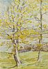 TREES IN SPRING, BALLYMACARRON by Ellen Brown Workman McCready at Ross's Online Art Auctions