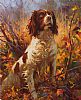 SPRINGER by Donal McNaughton at Ross's Online Art Auctions
