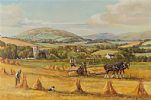 BINDER AT CLONALLAN, WARRENPOINT by Vittorio Cirefice at Ross's Online Art Auctions