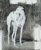 GREYHOUND by Con Campbell at Ross's Online Art Auctions
