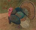TURKEY by Ralston Gudgeon at Ross's Online Art Auctions