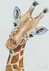 GENTLE GIRAFFE by Anne Jolivet at Ross's Online Art Auctions