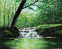 THE FOREST STREAM by Andy Saunders at Ross's Online Art Auctions