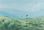 IRISH RED GROUSE IN THE MOURNE MOUNTAINS by Julian Friers RUA at Ross's Online Art Auctions