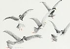 SEAGULLS by Elizabeth Morrow at Ross's Online Art Auctions