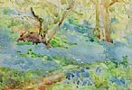 BLUEBELL WOOD by Anne Primrose Jury HRUA at Ross's Online Art Auctions