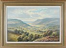 VALE OF GLENARIFF, COUNTY ANTRIM by William Henry Burns at Ross's Online Art Auctions