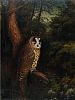 STUDY OF AN OWL by Julian Friers RUA at Ross's Online Art Auctions