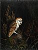 BARN OWL by Julian Friers RUA at Ross's Online Art Auctions