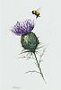 THISTLE AND BEE by Lawrence Chambers at Ross's Online Art Auctions