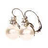 18CT WHITE GOLD SOUTH SEA PEARL & DIAMOND EARRINGS at Ross's Online Art Auctions