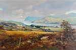NEAR KILCAR, DONEGAL by Denis Thornton at Ross's Online Art Auctions