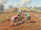 THE POTATO GATHERERS by Charles McAuley at Ross's Online Art Auctions
