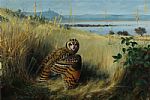 OWL BY THE LOUGH by Julian Friers RUA at Ross's Online Art Auctions