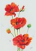 RED POPPIES by Lorraine Kidd at Ross's Online Art Auctions