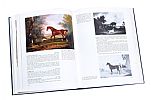 FOUR VOLUMES DICTIONARY ART BOOKS at Ross's Online Art Auctions