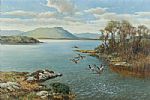 MALLARDS ON A CONNEMARA LAKE by William Hollywood at Ross's Online Art Auctions