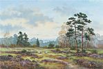 SHEEP AMONG THE HEATHER by Wendy Reeves at Ross's Online Art Auctions