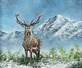 WISE OLD STAG by Andy Saunders at Ross's Online Art Auctions