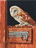 BARN OWL by Eric Heasley at Ross's Online Art Auctions