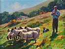 TENDING SHEEP by Donal McNaughton at Ross's Online Art Auctions