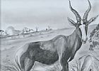 STUDY OF A GAZELLE by African School at Ross's Online Art Auctions