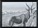 STUDY OF A GAZELLE by African School at Ross's Online Art Auctions
