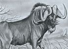 WATER BUFFALO by African School at Ross's Online Art Auctions