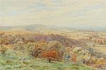THE SOUTH DOWNS, MIDHURST by Alfred Robert Quinton at Ross's Online Art Auctions