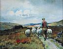 DRIVING SHEEP by Charles McAuley at Ross's Online Art Auctions