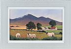 SHEEP IN THE MOURNES by Gregory Moore at Ross's Online Art Auctions
