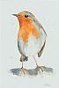 WINTER ROBIN by Lawrence Chambers at Ross's Online Art Auctions