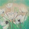 WHITE POPPIES by Fiona Turley at Ross's Online Art Auctions